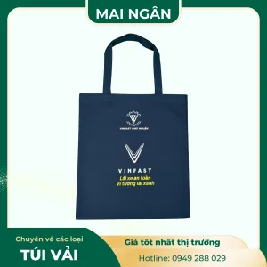 Túi Vải Không Dệt Mẫu 03